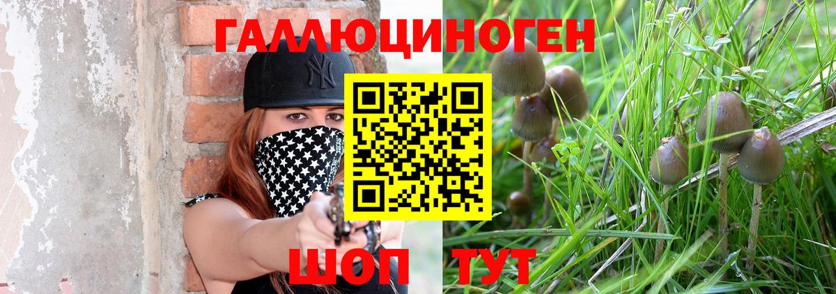 Галлюциногенные грибы мицелий Похвистнево