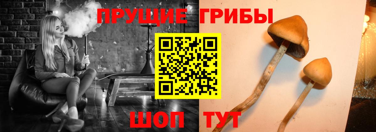 Псилоцибиновые грибы Cubensis  Галлюциногенные грибы Psilocybe  Вход с VPN  Похвистнево 